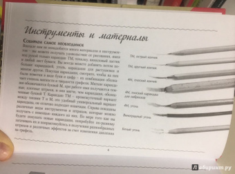 Рисуем цветы. Альбом для скетчинга
