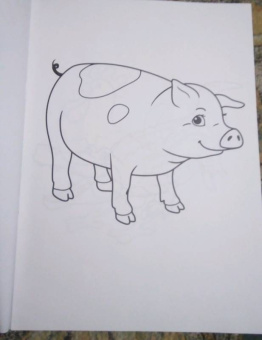 Раскраска "В мире животных"
