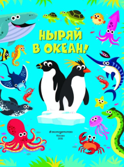 Мэтью Скотт: Ныряй в океан!
