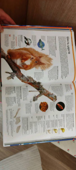 Малиция, Сориано, Фернандес: Тайны планеты Земля. Большая иллюстрированная энциклопедия