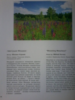 Россия - самая красивая страна. Фотоконкурс 2020