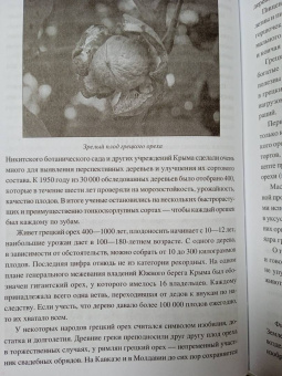 Николай Непомнящий: 100 великих загадок Крыма