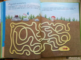 Алеся Третьякова: На земле и под водой