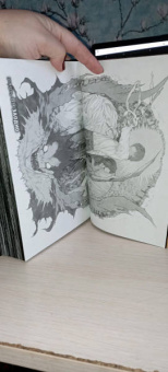 Цугуми Ооба: Death Note. Black Edition. Книга 6