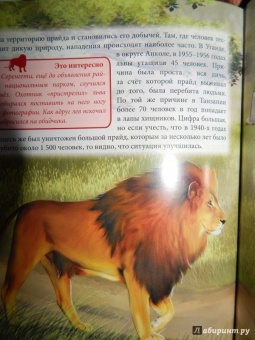 Владислав Щербак: Хочу знать. Львы