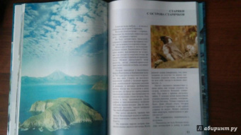 Михаил Жилин: Птичьи базары