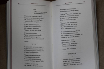 Владимир Шилейко: Пометки на полях. Стихи