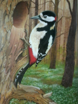 Хольгер Хааг: Лесные животные в натуральную величину