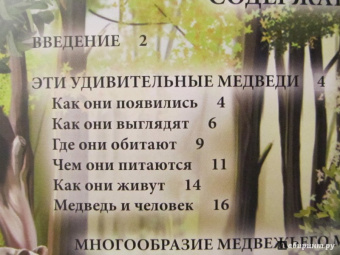 Ярослава Соколова: Хочу знать. Медведи