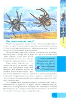 Мария Куруськина: Энциклопедия. Пауки