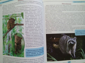 Людмила Соколова: Животный мир от А до Я