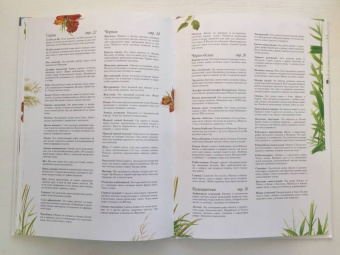 Селин Потард: Большой атлас животных