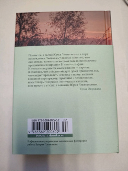 Юрий Левитанский: Время, бесстрашный художник...