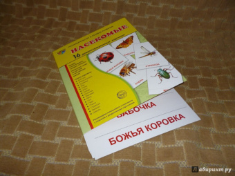 Цветкова, Шорыгина: Демонстрационные картинки "Насекомые" (16 картинок)