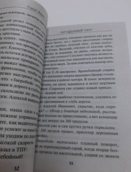 Сергей Зверев: Укрощенный тигр