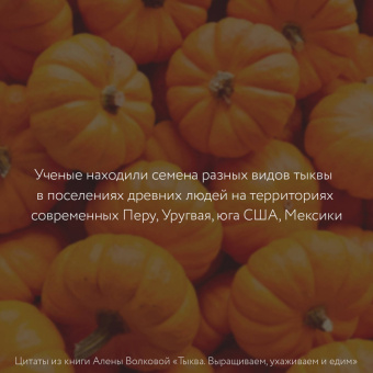 Алена Волкова: Тыква. Выращиваем, ухаживаем и едим