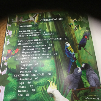 Ярослава Соколова: Попугаи