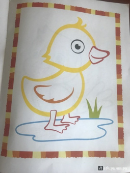 Первые птички. Книжка-раскраска