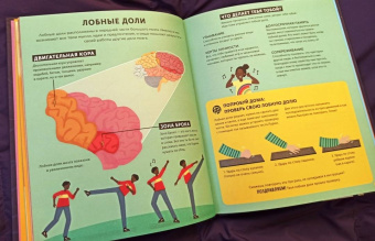 Тим Кеннингтон: Его величество мозг. Все самое интересное о работе мозга людей, животных и роботов