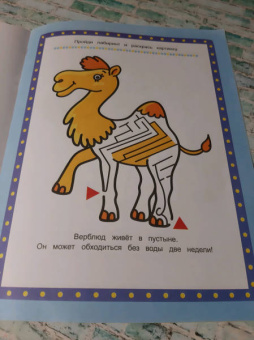 Весёлый зоопарк. Книжка-раскраска