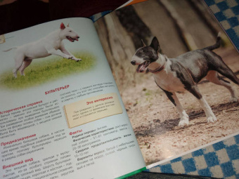 Ольга Тяжлова: Энциклопедия. Собаки