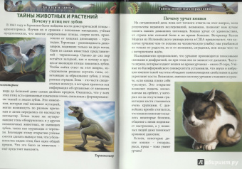 Мария Куруськина: Хочу знать. Загадки и тайны