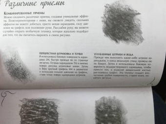 Diane Cardaci: Рисуем всё! Альбом для скетчинга
