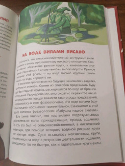 Маша Рупасова: Весёлая фразеология