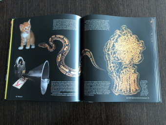 Теодор Грэй: Реакции