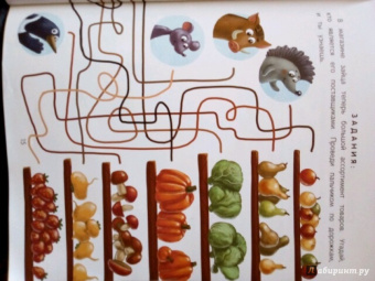 Елена Ульева: Откуда берутся деньги? Энциклопедия для малышей