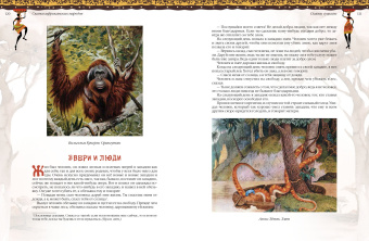 Николай Кун: Африканские сказки