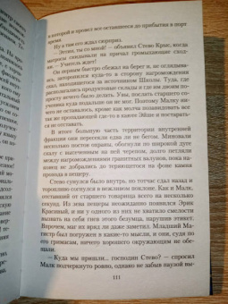 Виталий Зыков: Школа Пепла. Выбор
