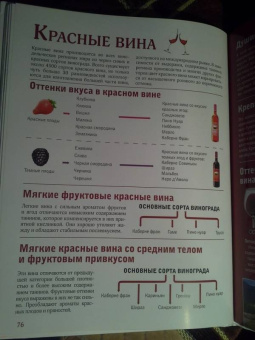 Марк Шпаковский: Вино. Большой иллюстрированный гид