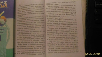 Устинова, Литвинова, Литвинов: Детектив-пикник