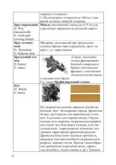 Владимир Волынский: Лесотехнический толковый словарь. СПО