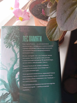 Сэм Ллойд: Лес Памяти
