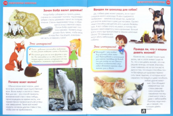 Тамара Скиба: Как? Что? Зачем? Почему? Новая детская энциклопедия