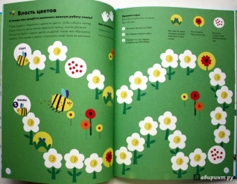 Софи Дову: Мой большой мир. Любопытные факты. Вопросы и ответы. Сделай сам