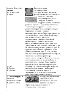 Владимир Волынский: Лесотехнический толковый словарь. СПО