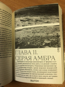 Эми Липтрот: Выгон
