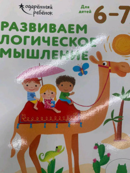 Развиваем логическое мышление. Для детей 6-7 лет
