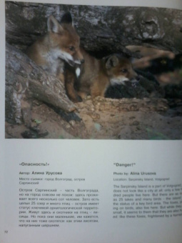 Россия - самая красивая страна. Фотоконкурс 2020