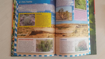 Растительный мир России. Популярная детская энциклопедия