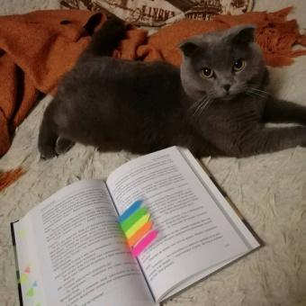 Анна Иванова: Ты следующая