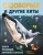 София Егорова: Клюворыл и другие киты