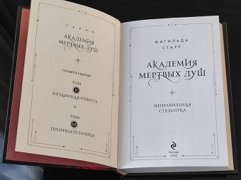 Матильда Старр: Академия мертвых душ. Неправильная студентка. Книга 1