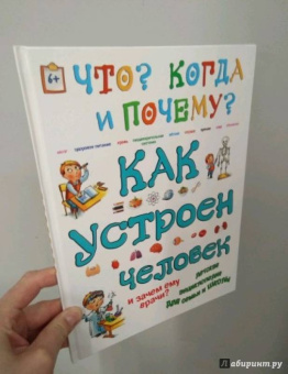 Ольга Соколова: Как устроен человек и зачем ему врачи?