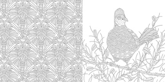 Милли Маротта: Первозданная красота. Книга для творчества и вдохновения