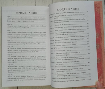 Хуа Тун: Поразительное на каждом шагу. Алые сердца