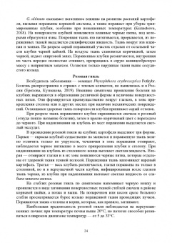 Зейрук, Гаспарян, Белов: Болезни, вредители и сорные растения картофеля. Учебное пособие для СПО